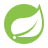 SpringBoot Tech logo